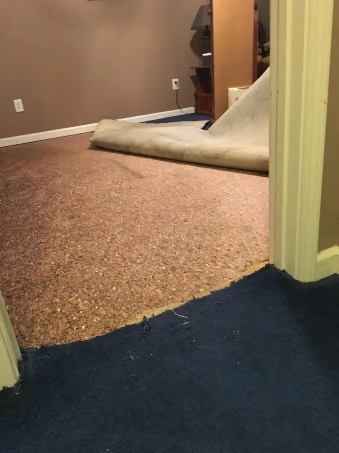 Carpet pad removal revealing water damage during Drying & Dehumidification in Jacinto City