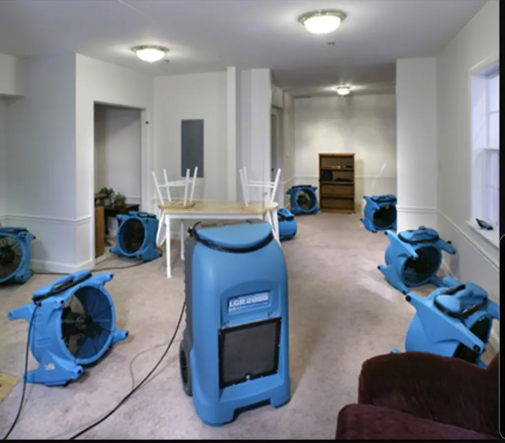 Air movers and dehumidifier setup for Water Extraction & Removal in Jacinto City